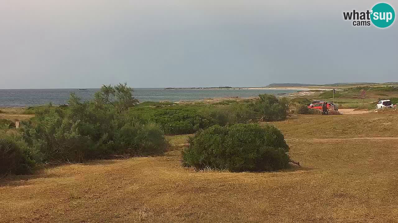Mari Ermi Strand | Is Arutas – Oristano