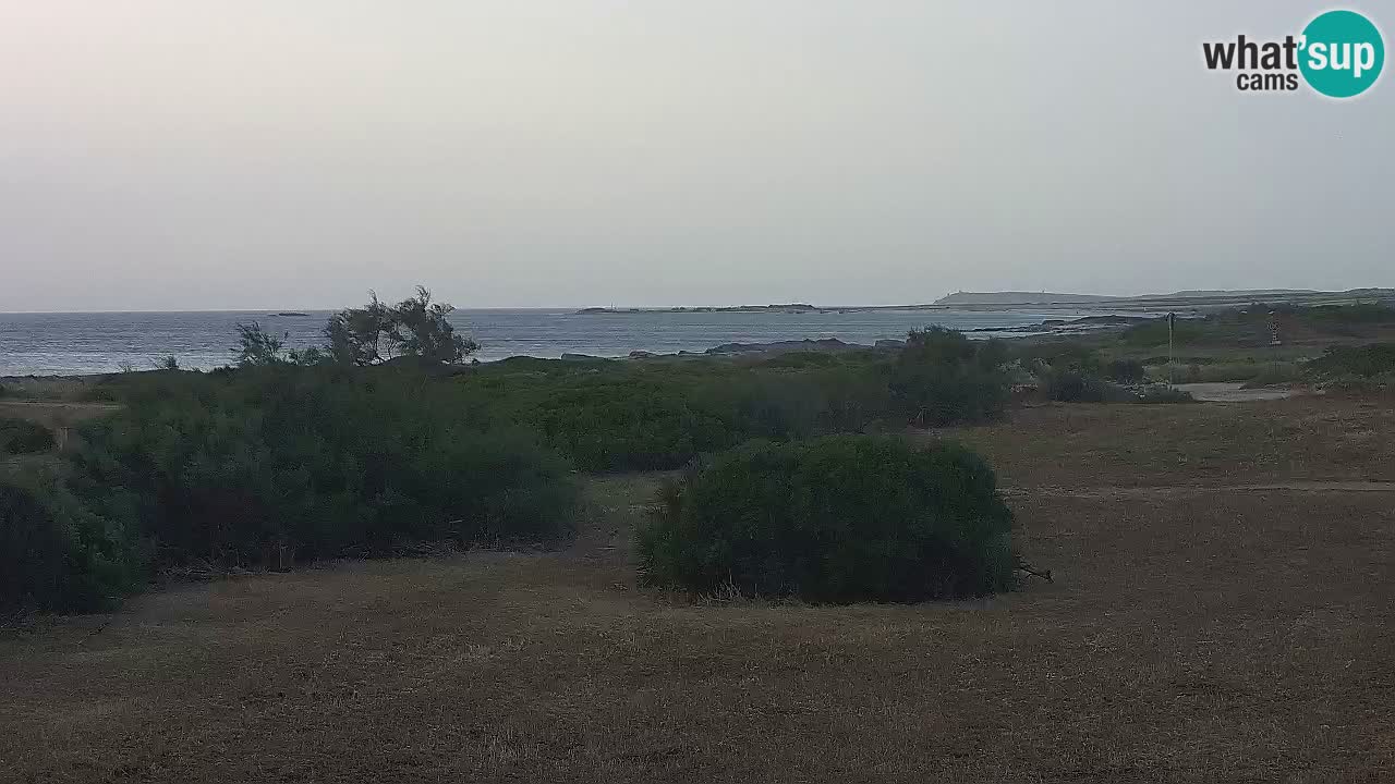 Mari Ermi Strand | Is Arutas – Oristano