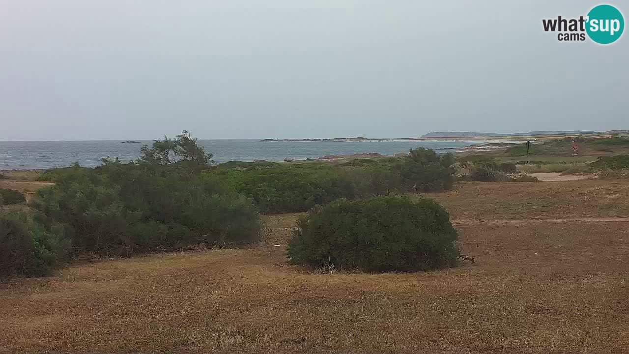 Plaža Mari Ermi | Is Arutas – Oristano