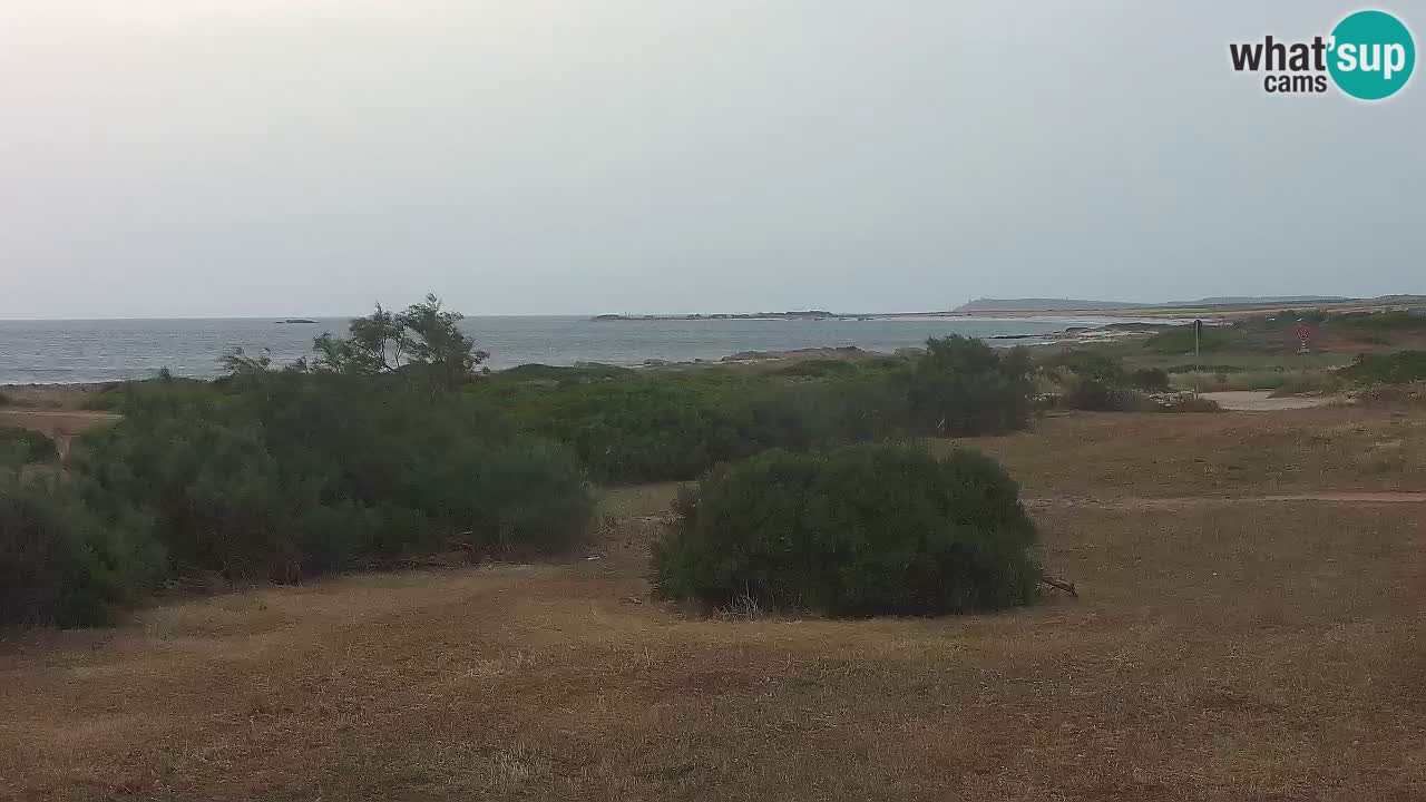 Mari Ermi Strand | Is Arutas – Oristano