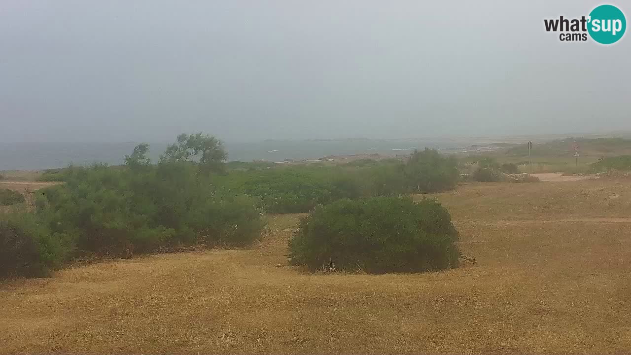 Plage Mari Ermi | Is Arutas – Oristano