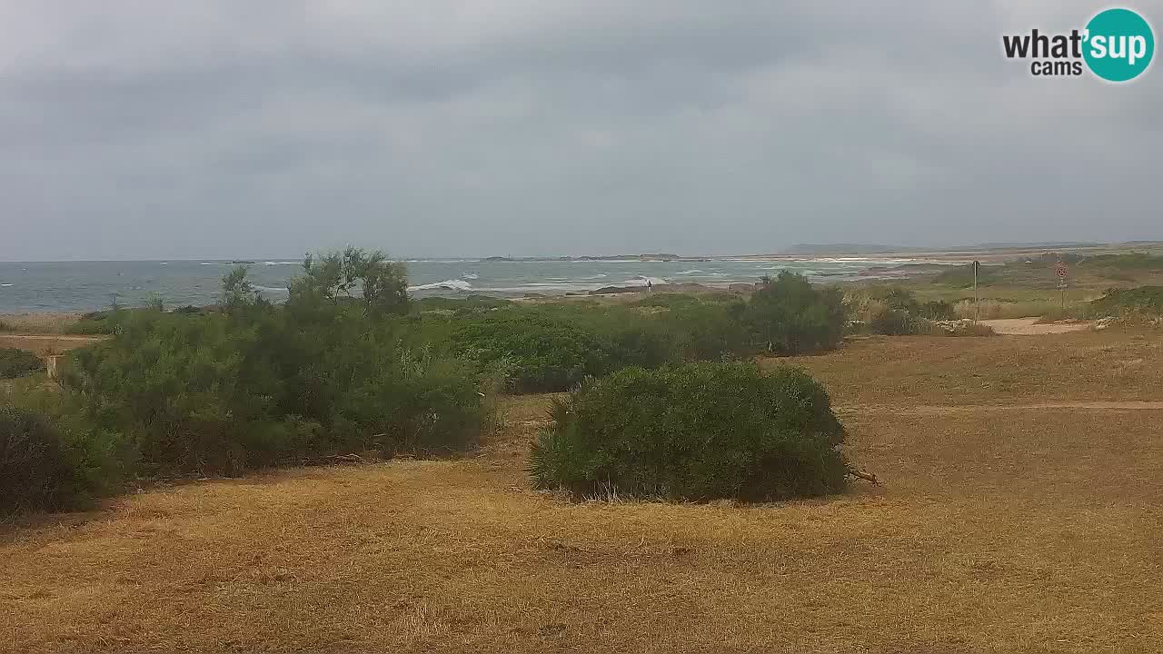 Playa Mari Ermi | Is Arutas – Oristano