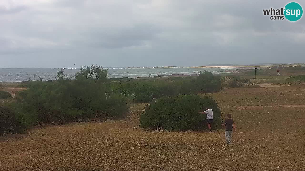 Playa Mari Ermi | Is Arutas – Oristano