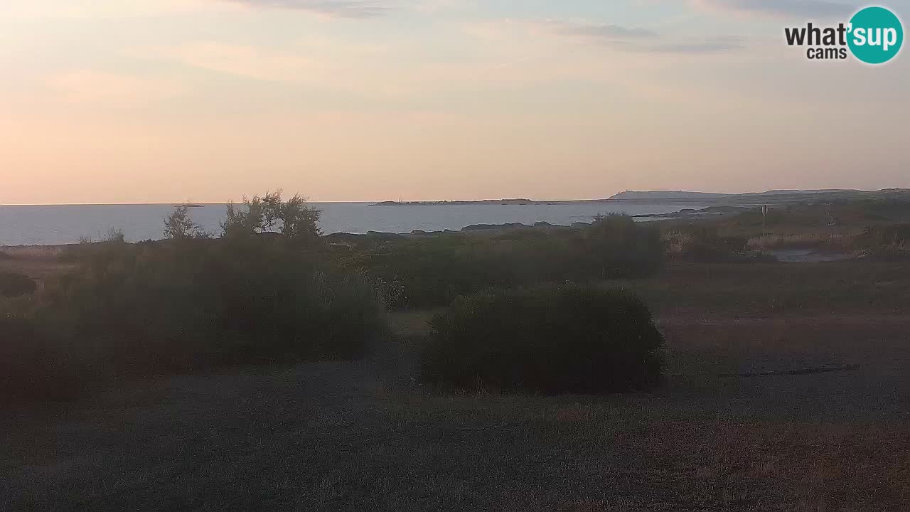 Mari Ermi Strand | Is Arutas – Oristano
