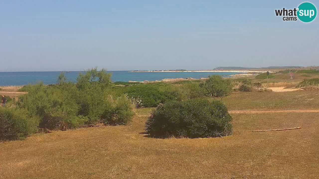 Plage Mari Ermi | Is Arutas – Oristano