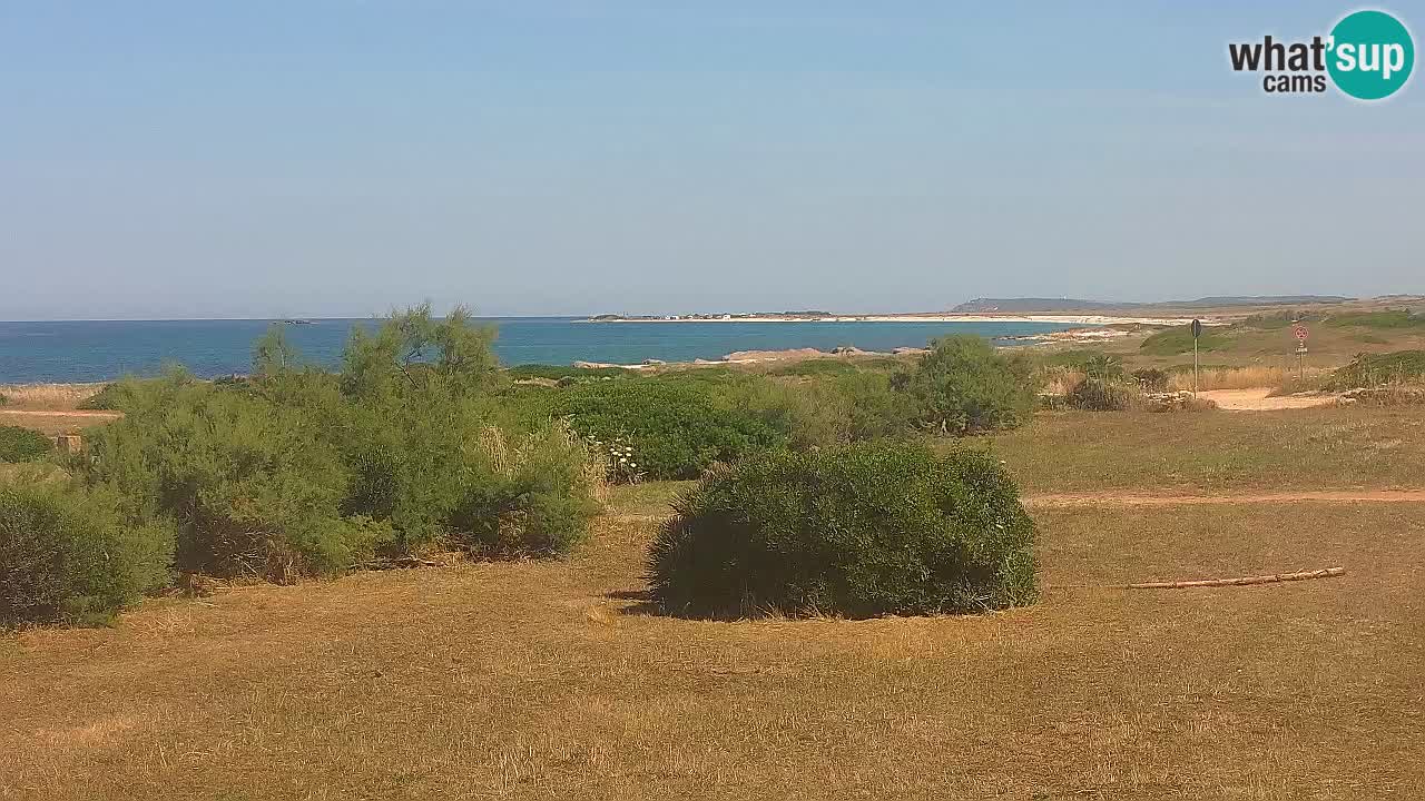 Plage Mari Ermi | Is Arutas – Oristano