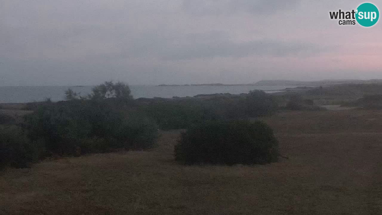 Mari Ermi Strand | Is Arutas – Oristano