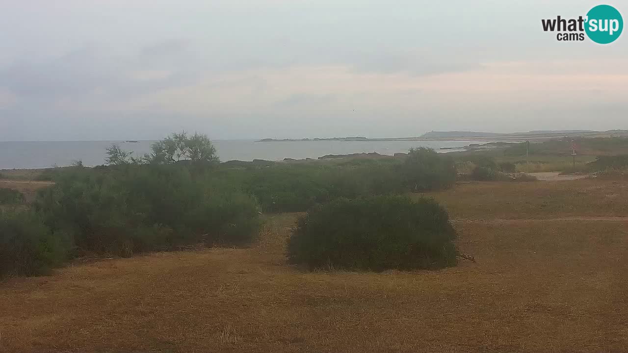 Mari Ermi Strand | Is Arutas – Oristano