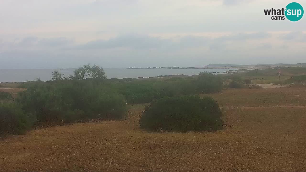 Mari Ermi beach | Is Arutas – Oristano