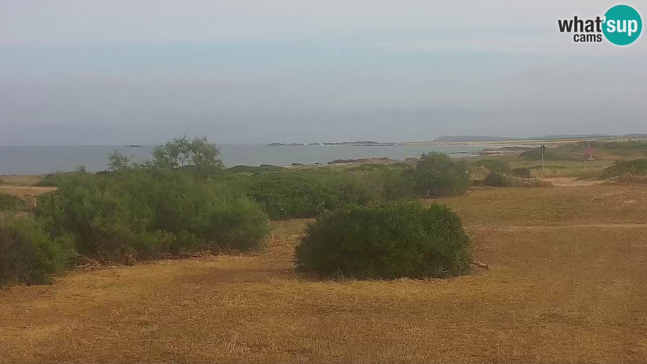 Plaža Mari Ermi | Is Arutas – Oristano