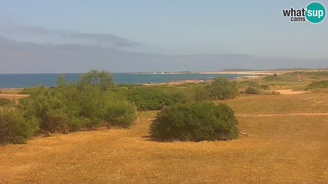 Playa Mari Ermi | Is Arutas – Oristano