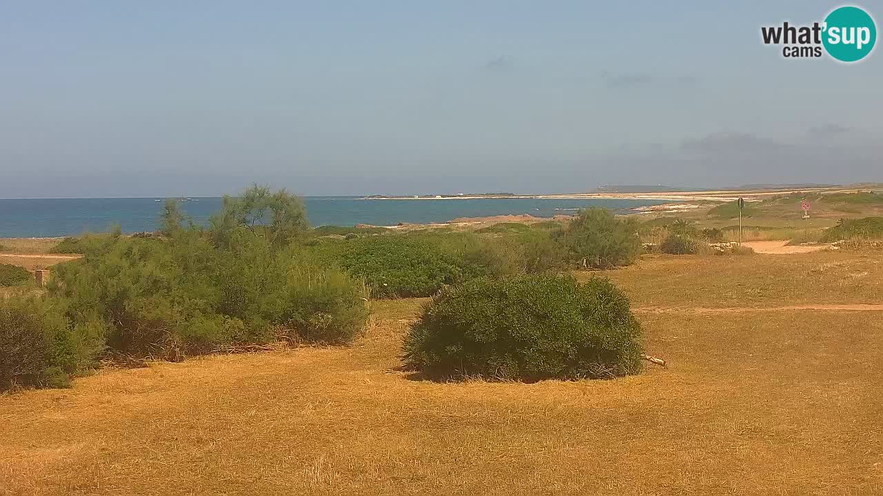 Plaža Mari Ermi | Is Arutas – Oristano