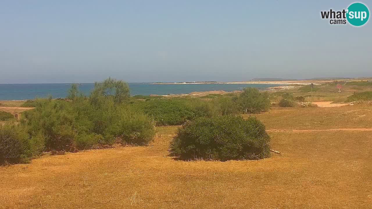 Mari Ermi Strand | Is Arutas – Oristano