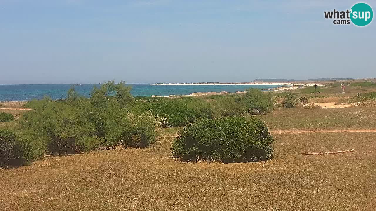 Plage Mari Ermi | Is Arutas – Oristano