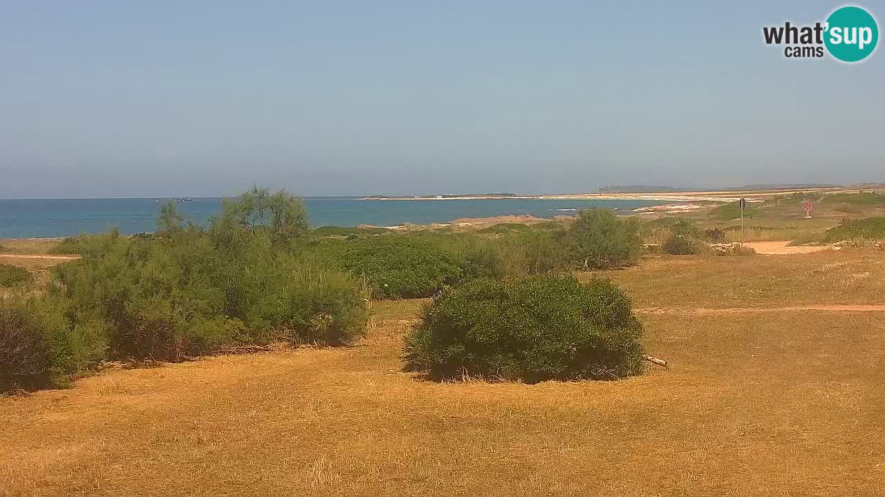 Plaža Mari Ermi | Is Arutas – Oristano