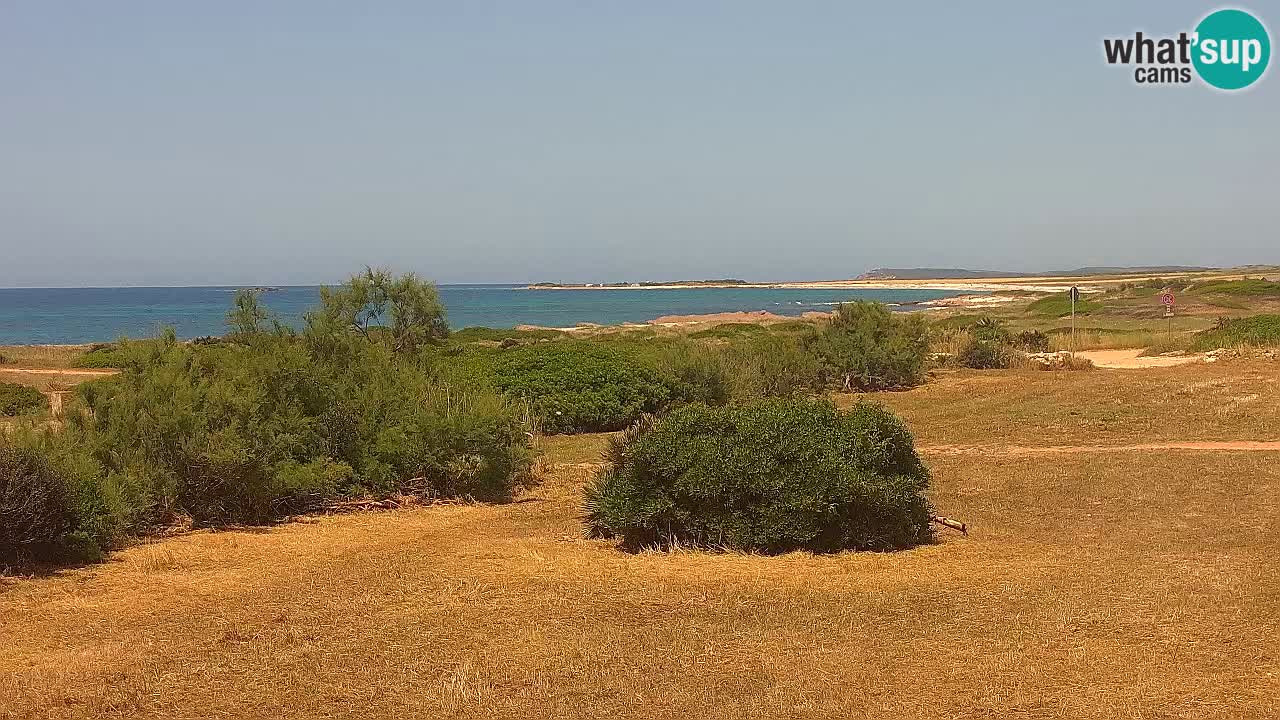 Plaža Mari Ermi | Is Arutas – Oristano