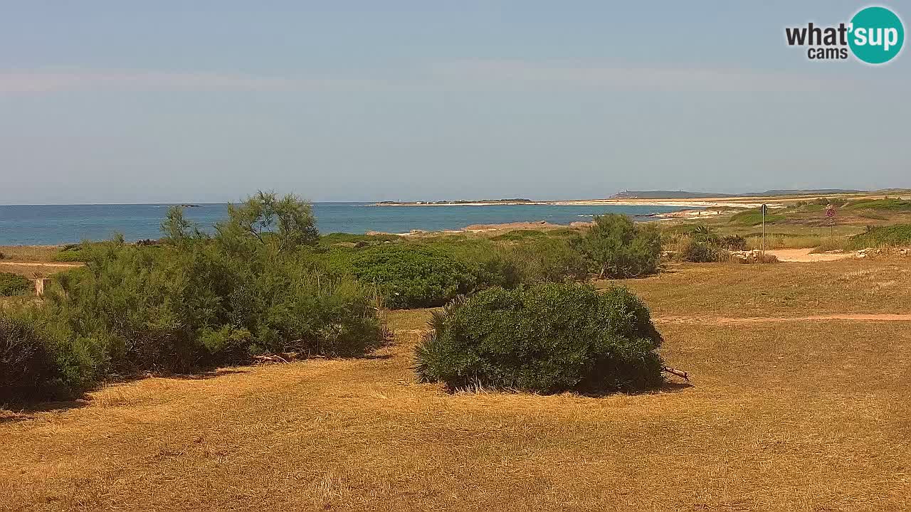 Plage Mari Ermi | Is Arutas – Oristano