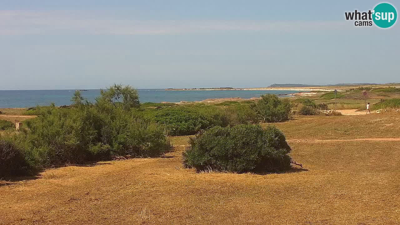 Plage Mari Ermi | Is Arutas – Oristano