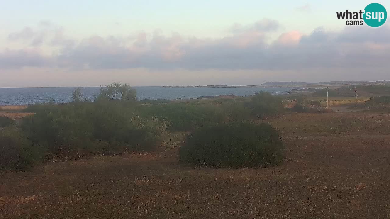 Plaža Mari Ermi | Is Arutas – Oristano