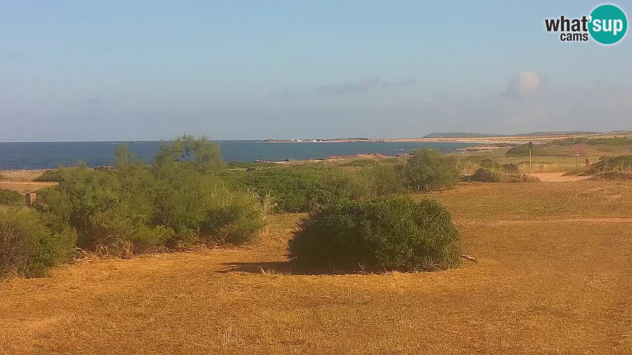 Playa Mari Ermi | Is Arutas – Oristano
