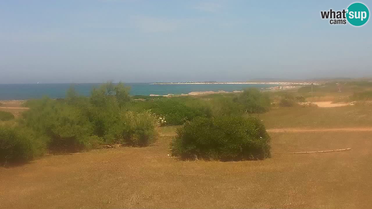 Playa Mari Ermi | Is Arutas – Oristano