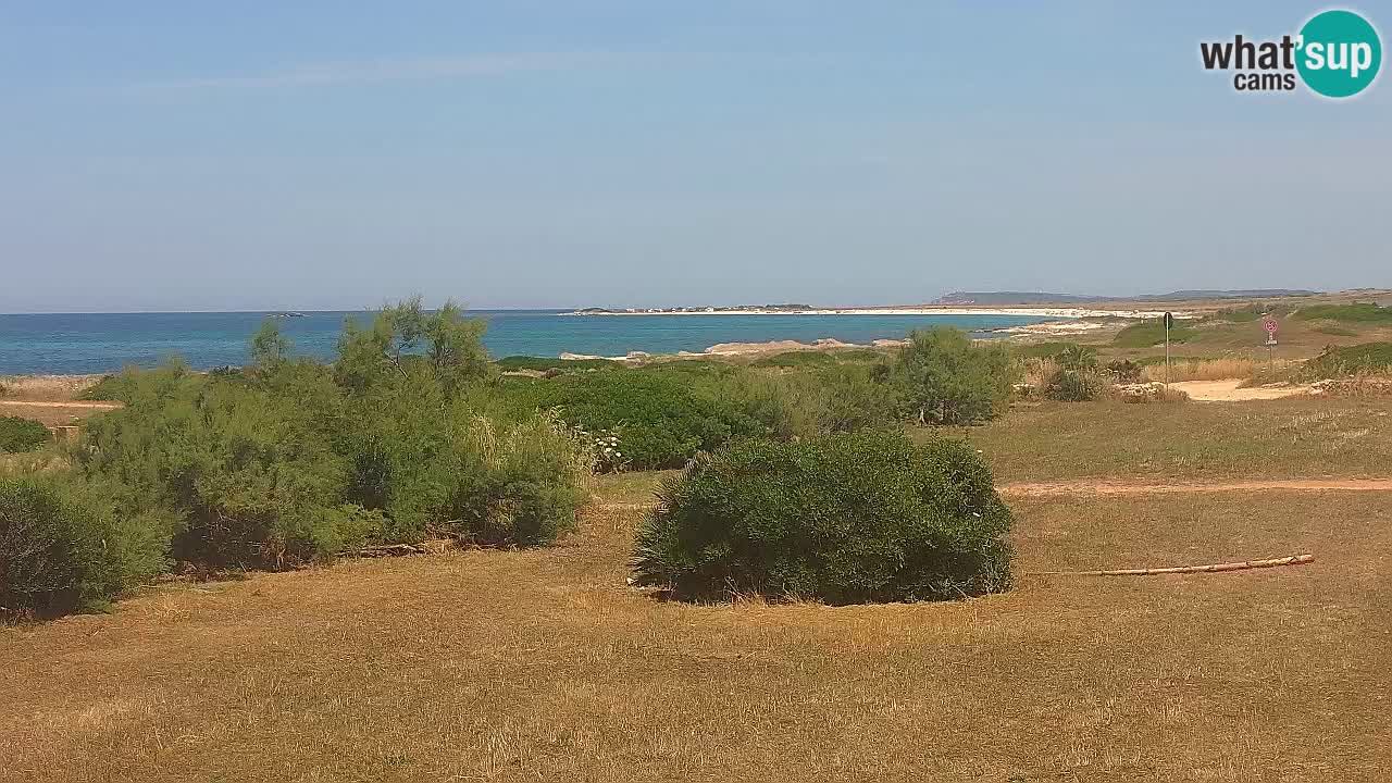 Mari Ermi Strand | Is Arutas – Oristano
