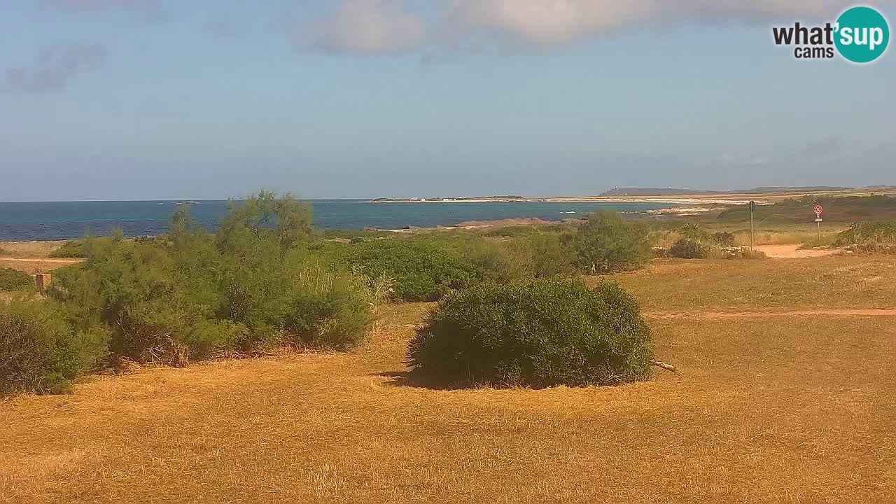 Plage Mari Ermi | Is Arutas – Oristano