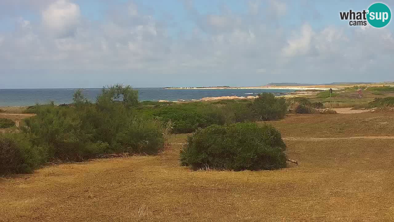 Plaža Mari Ermi | Is Arutas – Oristano