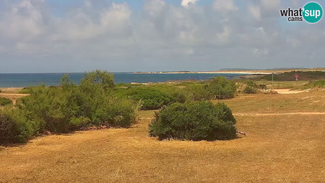 Mari Ermi beach | Is Arutas – Oristano