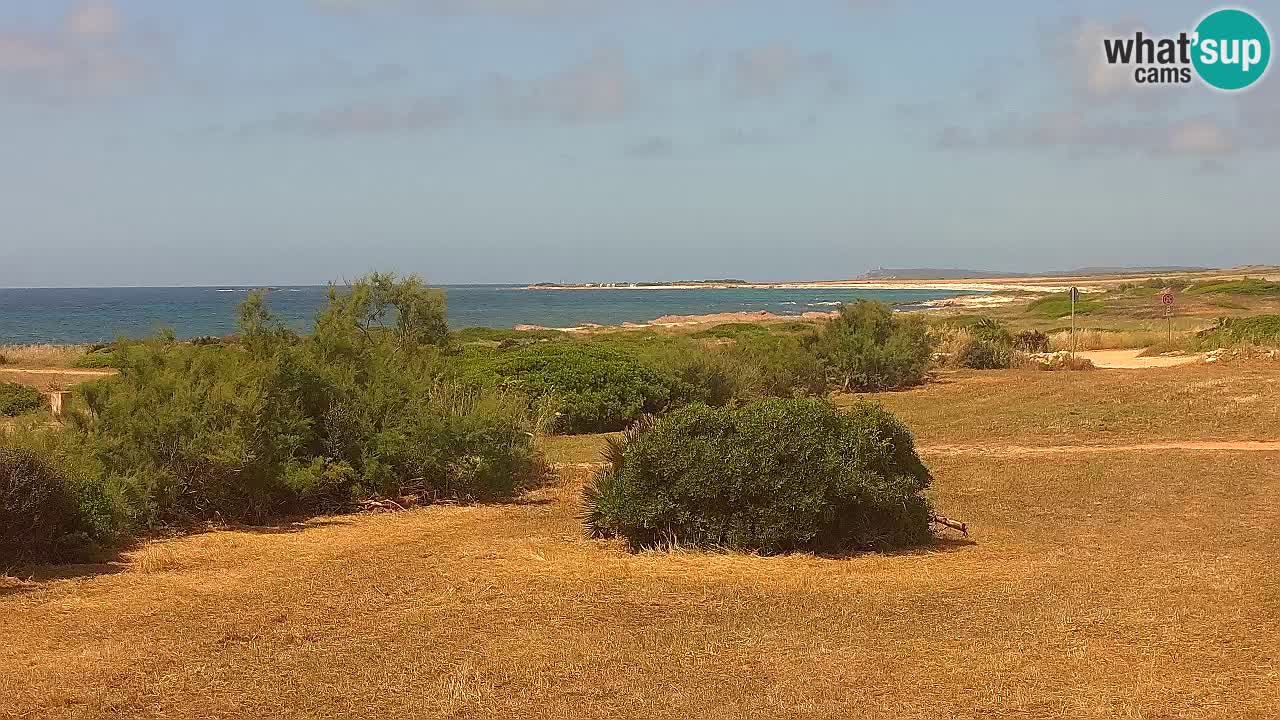 Plaža Mari Ermi | Is Arutas – Oristano