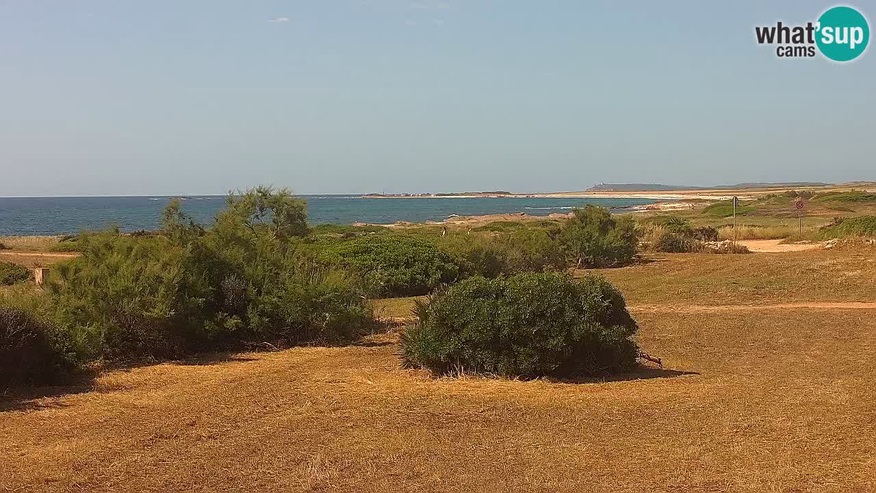 Plaža Mari Ermi | Is Arutas – Oristano