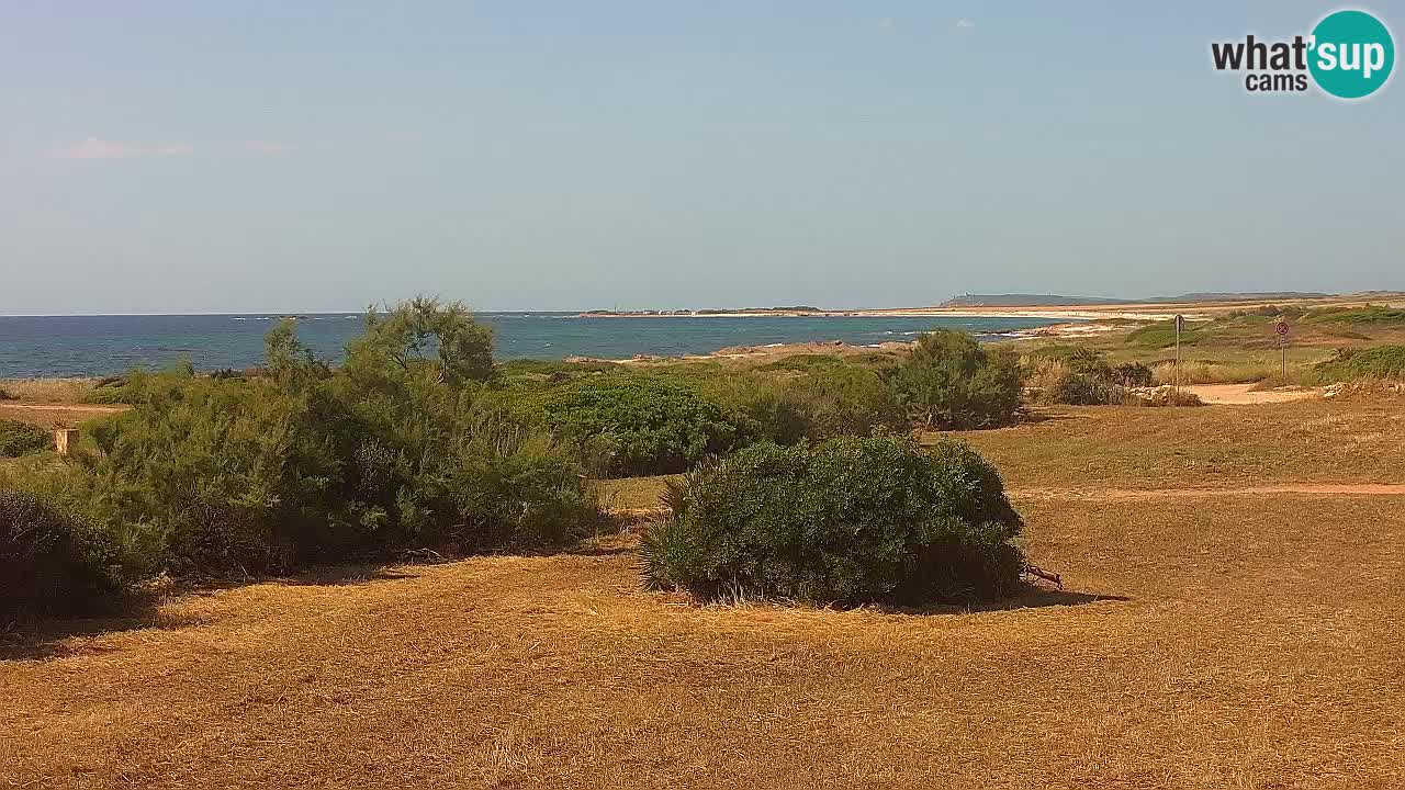 Mari Ermi Strand | Is Arutas – Oristano