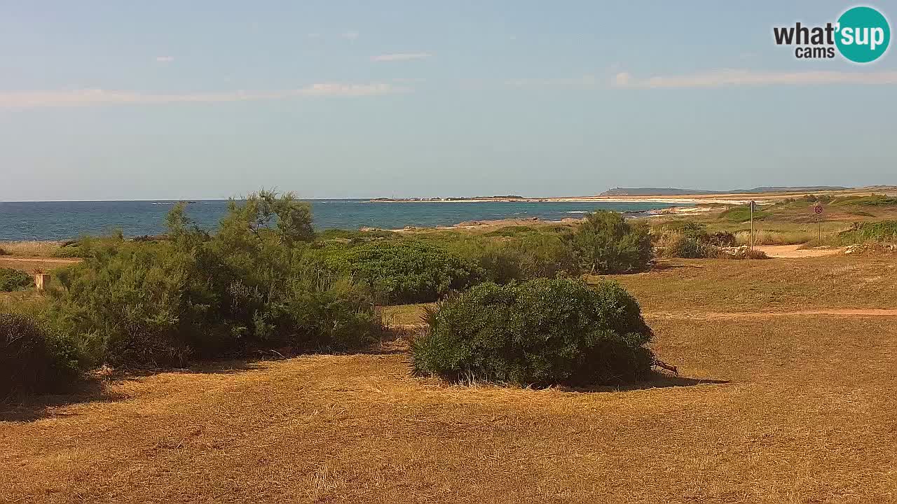 Plaža Mari Ermi | Is Arutas – Oristano