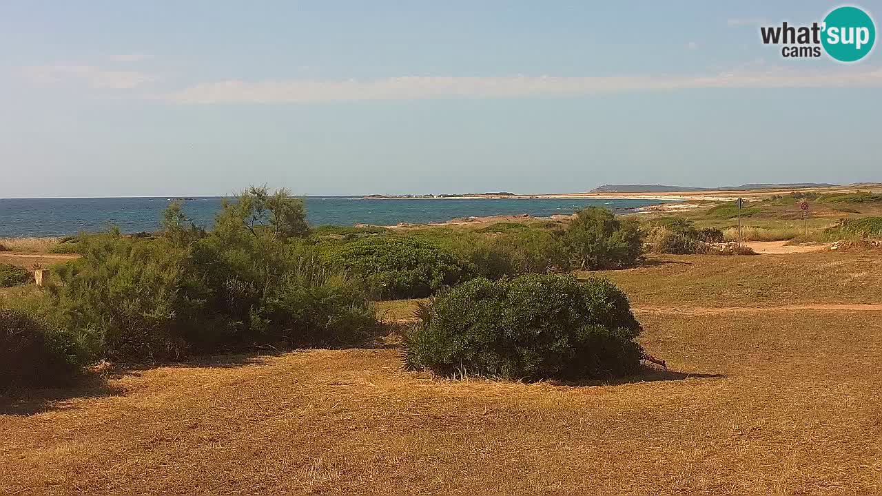 Plage Mari Ermi | Is Arutas – Oristano