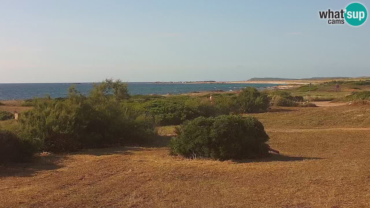 Mari Ermi Strand | Is Arutas – Oristano