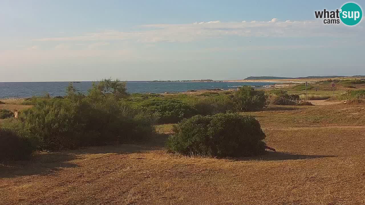 Mari Ermi Strand | Is Arutas – Oristano