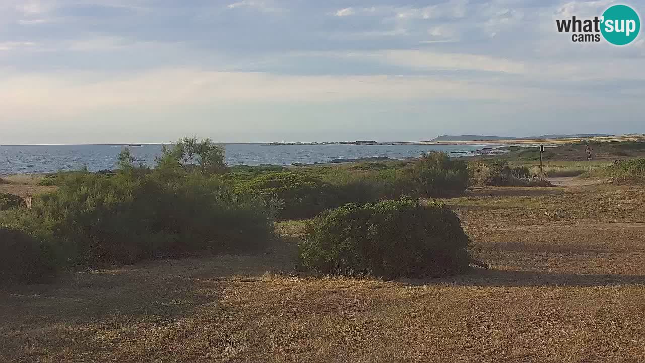 Mari Ermi Strand | Is Arutas – Oristano