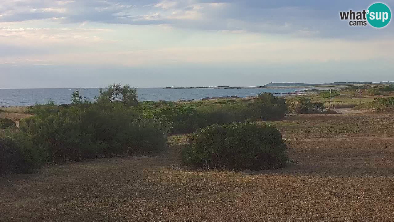 Mari Ermi Strand | Is Arutas – Oristano