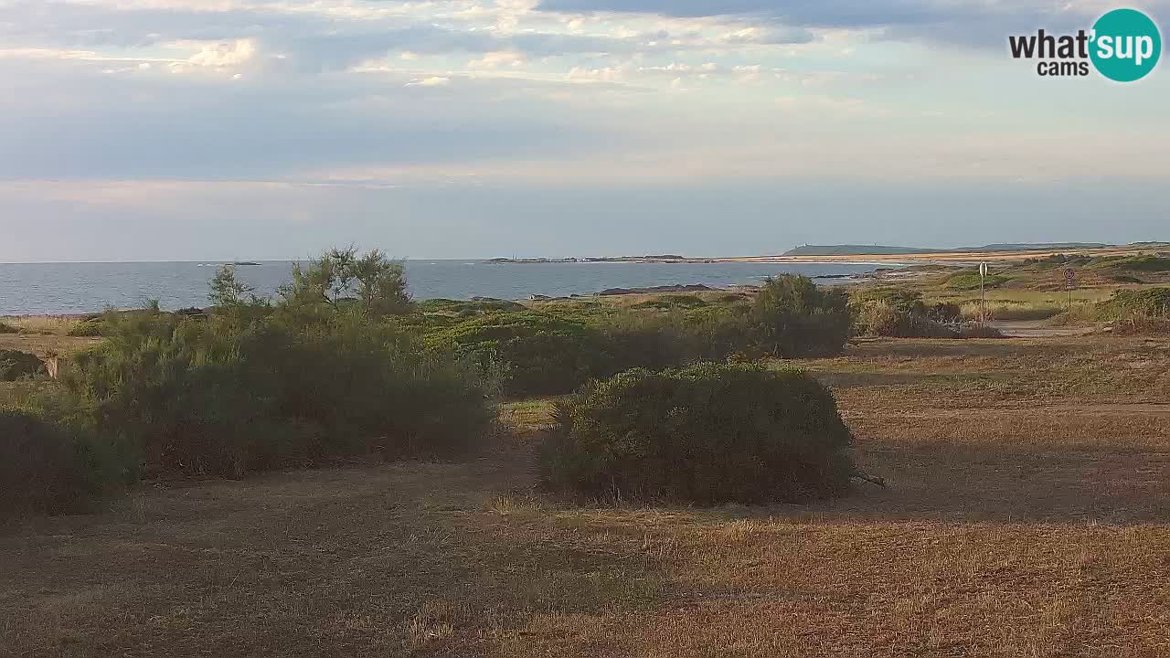 Plage Mari Ermi | Is Arutas – Oristano