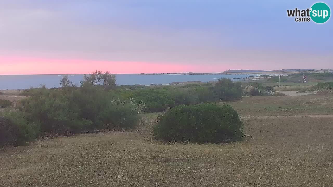 Playa Mari Ermi | Is Arutas – Oristano