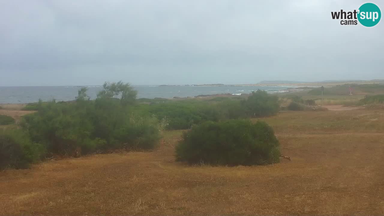Plage Mari Ermi | Is Arutas – Oristano