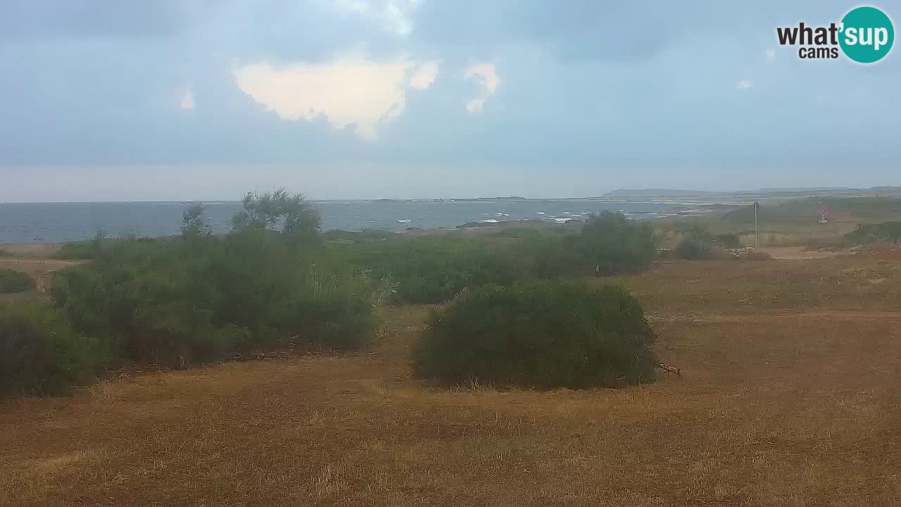 Mari Ermi beach | Is Arutas – Oristano