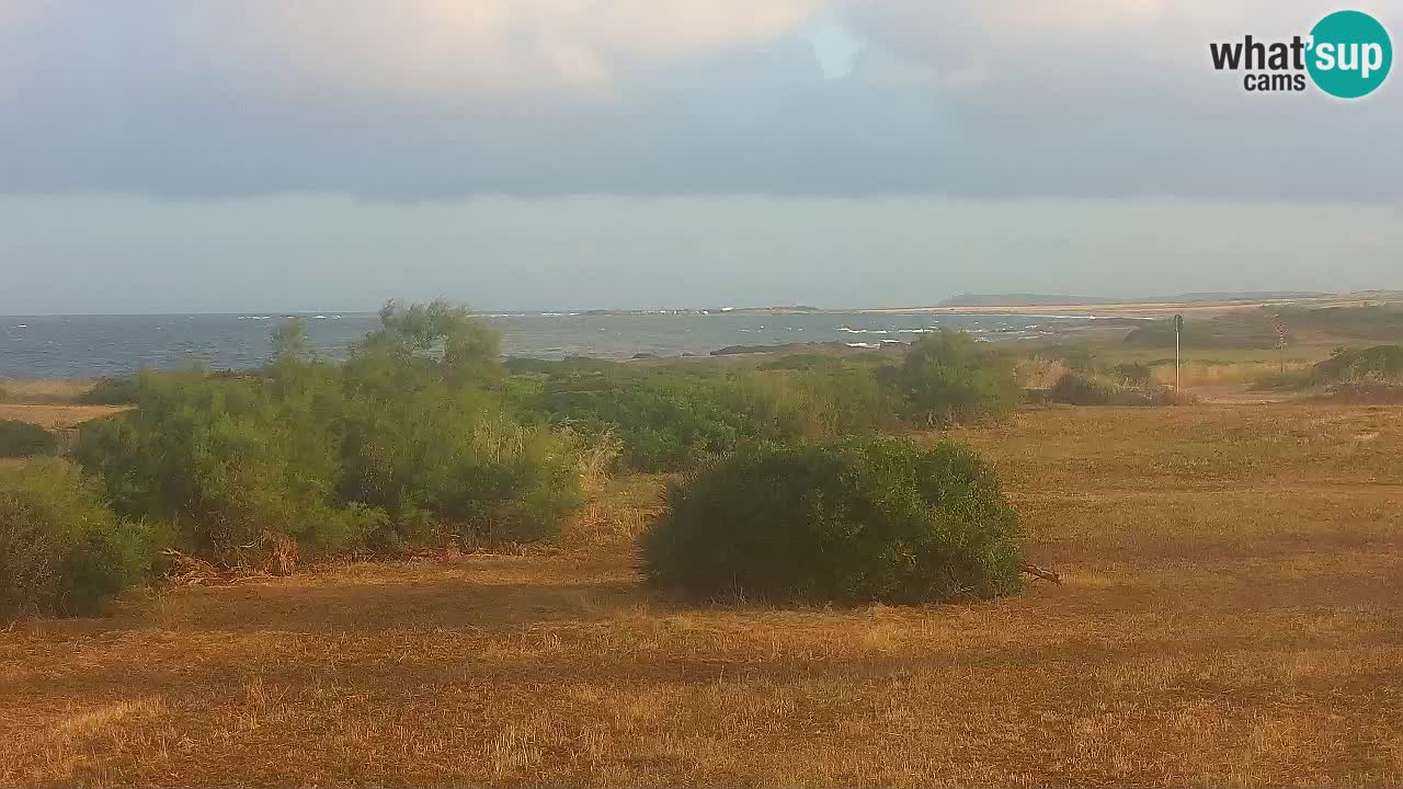Plaža Mari Ermi | Is Arutas – Oristano
