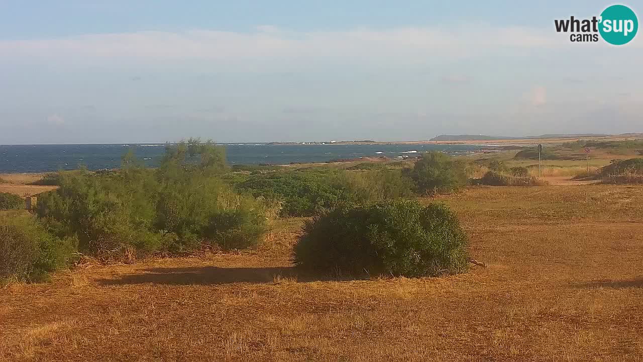 Playa Mari Ermi | Is Arutas – Oristano