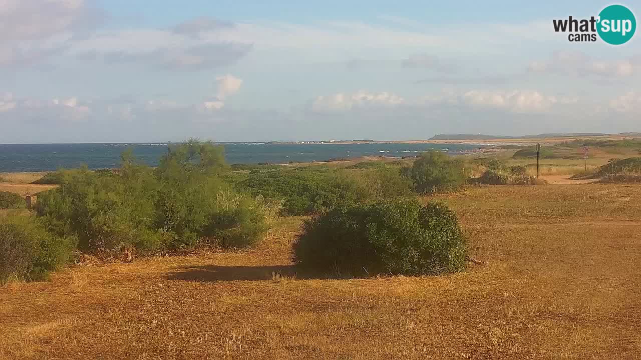 Mari Ermi Strand | Is Arutas – Oristano