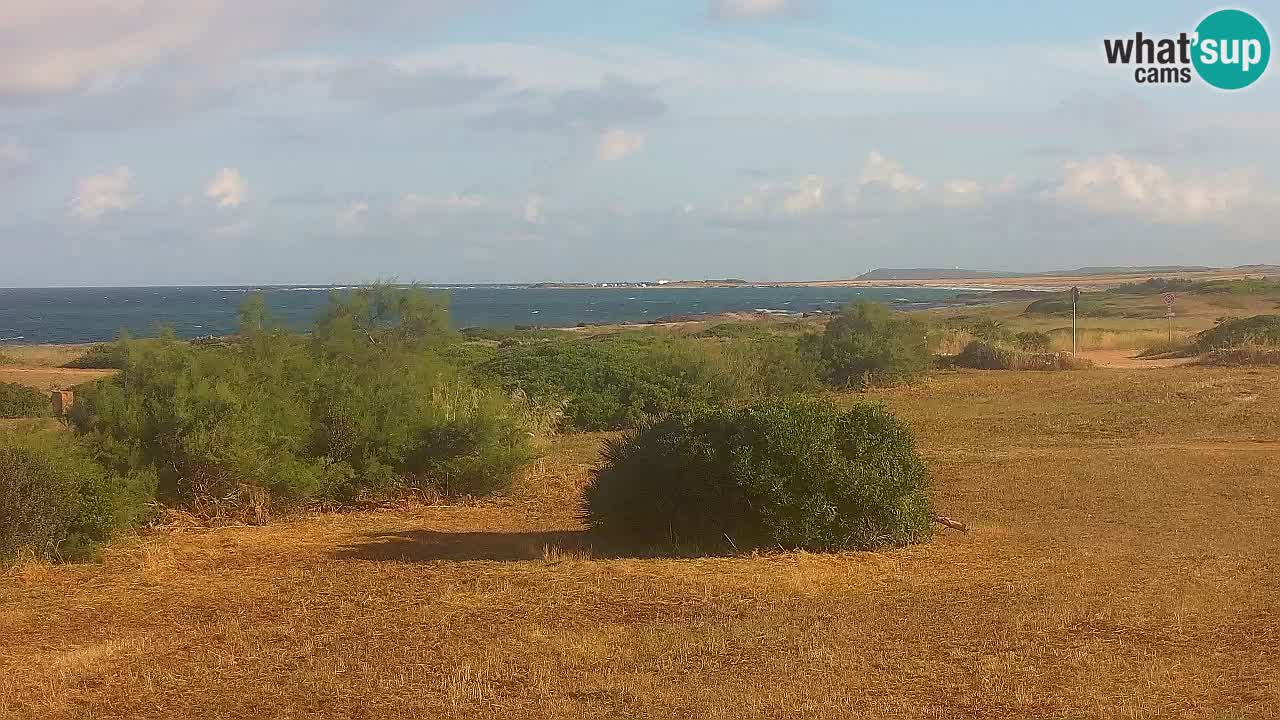 Mari Ermi beach | Is Arutas – Oristano