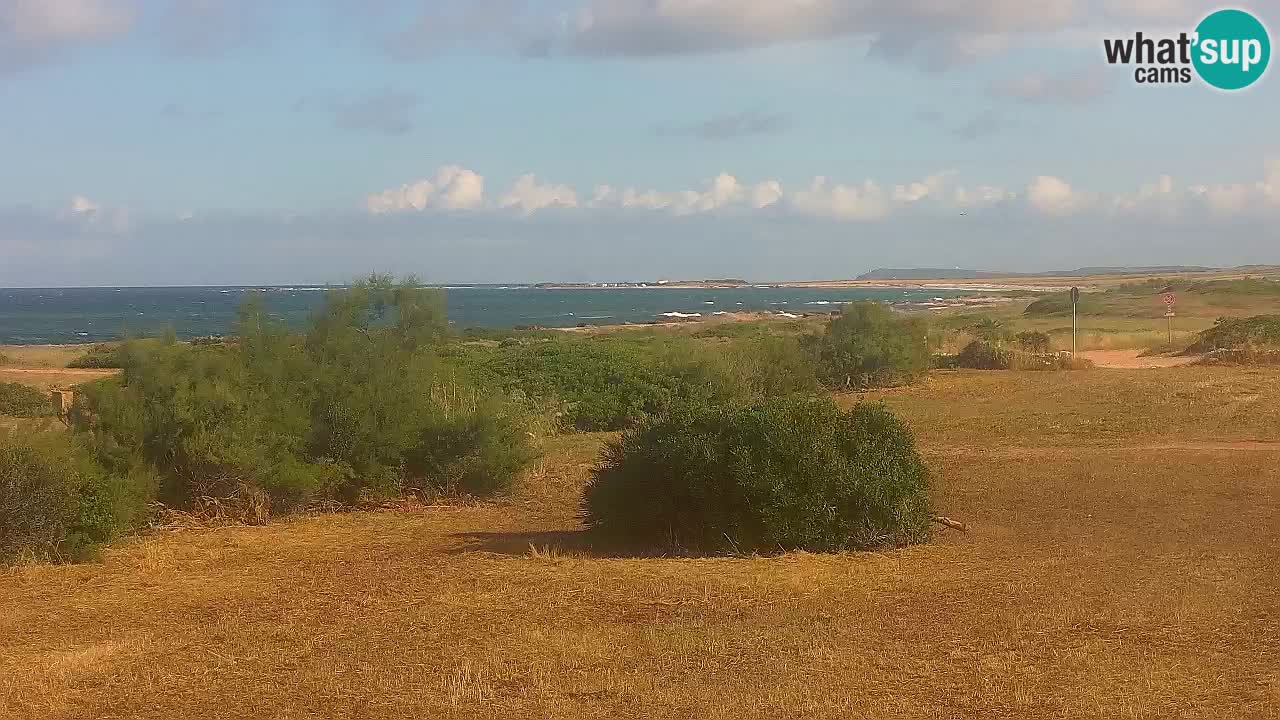 Mari Ermi beach | Is Arutas – Oristano
