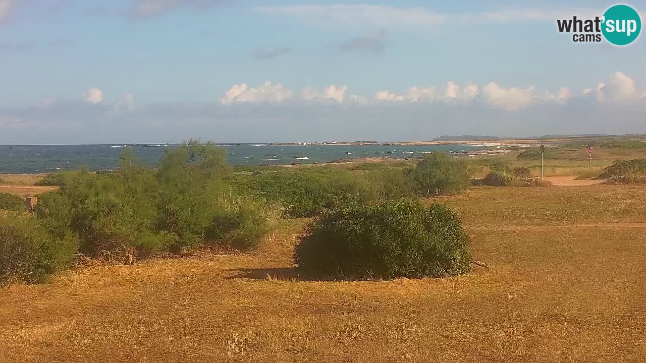 Playa Mari Ermi | Is Arutas – Oristano