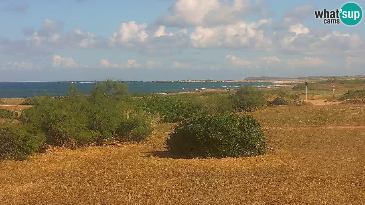 Playa Mari Ermi | Is Arutas – Oristano