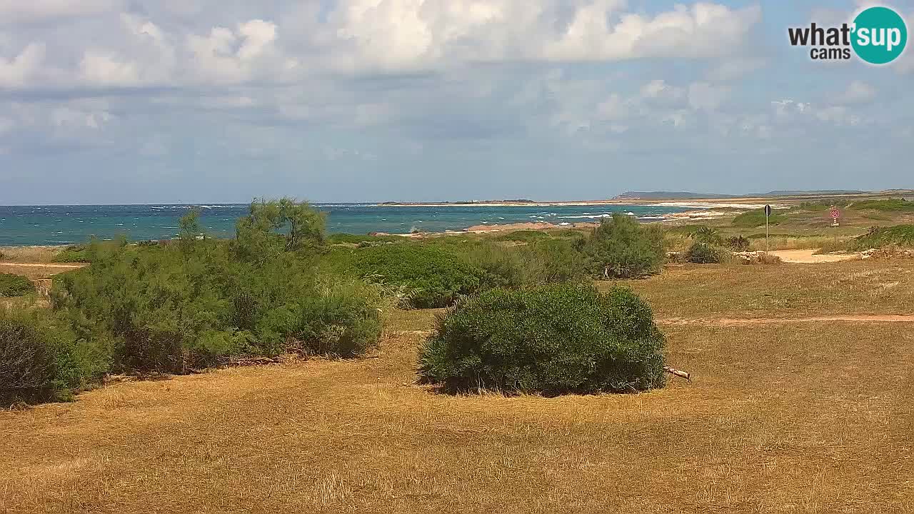 Mari Ermi beach | Is Arutas – Oristano